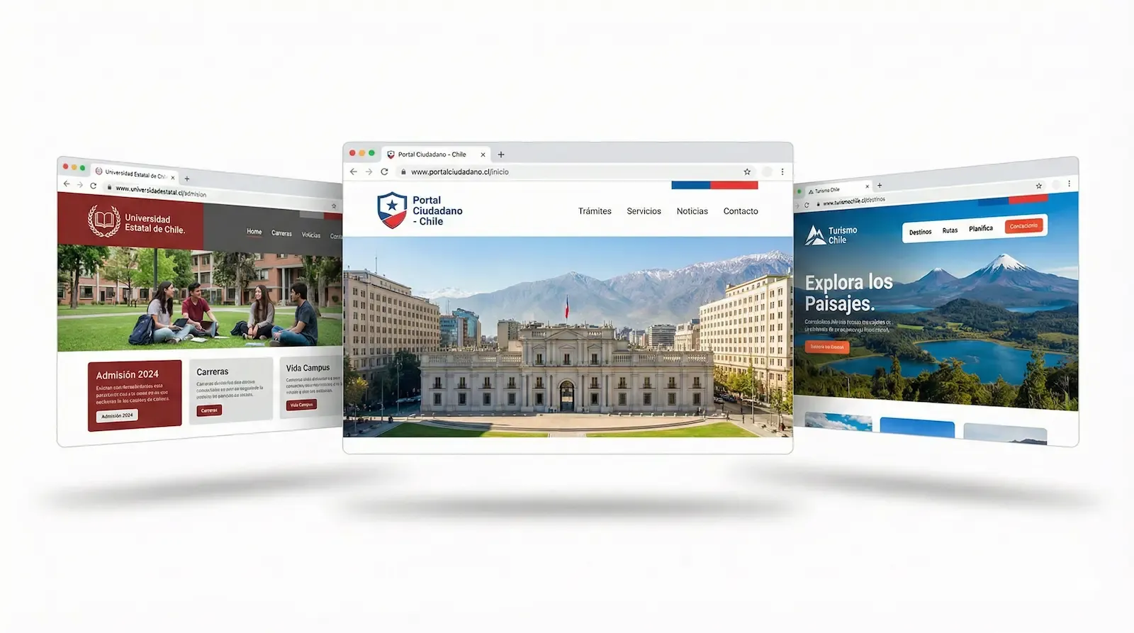 Ejemplo genérico de sitio institucional moderno